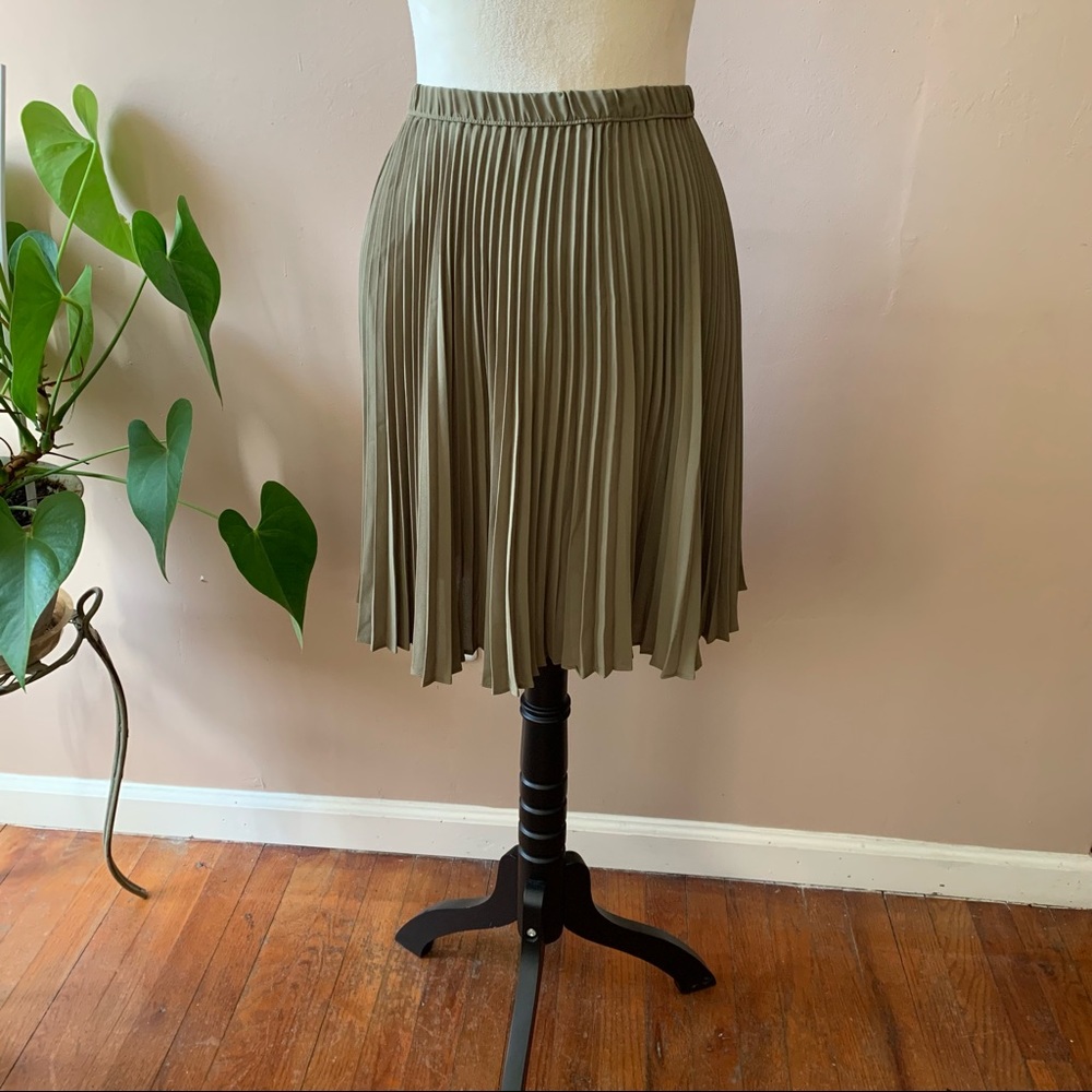 Banana Republic Pleated Skirt